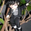 schlemihl climbing tree