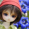 Shiki